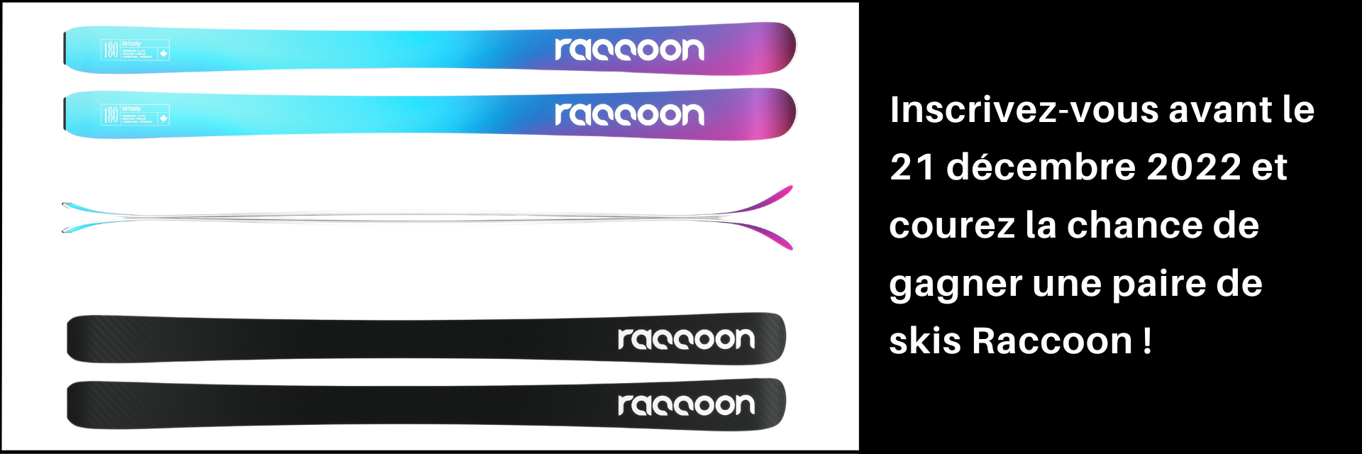 Concours Raccoon 2023-Skis.png